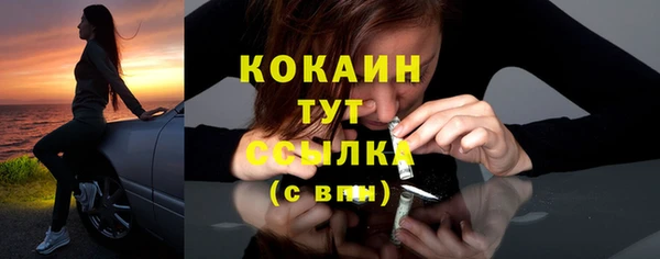 2c-b Горно-Алтайск
