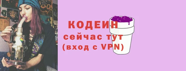 2c-b Горно-Алтайск