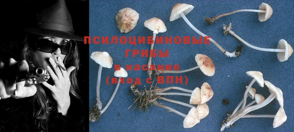 2c-b Горно-Алтайск