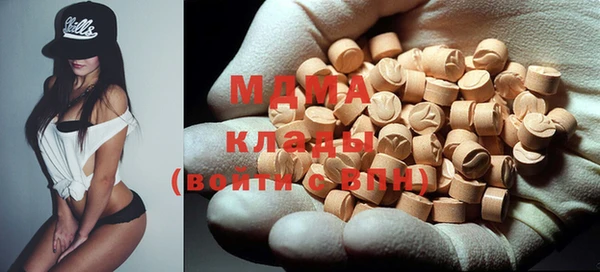 ГАЛЛЮЦИНОГЕННЫЕ ГРИБЫ Гусев