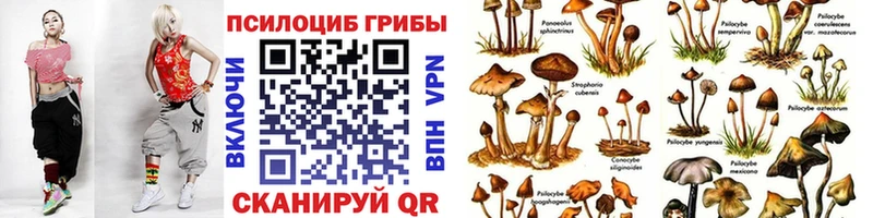 Галлюциногенные грибы прущие грибы  Серафимович 